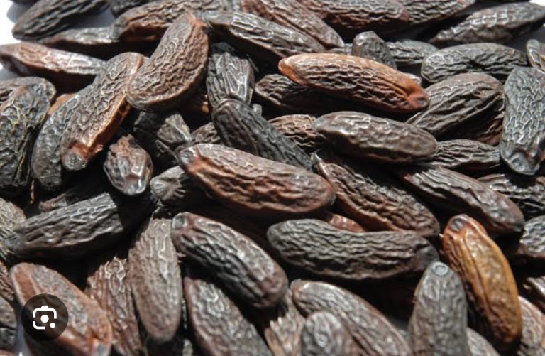 Tonka bean fragrance oil Item | Buy Tonka bean fragrance oil | SPOP Enterprise Global