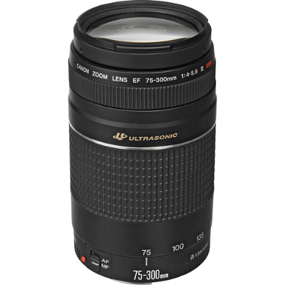 Canon Ef 75-300mm F/4-5.6 Iii Usm Lens - SKU-1081 Item | Buy Canon Ef 75-300mm F/4-5.6 Iii Usm Lens - SKU-1081 | SPOP Enterprise Global