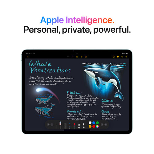IPad Air M3 11” 128GB Wi-Fi Space Gray MC9W4LL/A Item | Buy IPad Air M3 11” 128GB Wi-Fi Space Gray MC9W4LL/A | SPOP Enterprise Global
