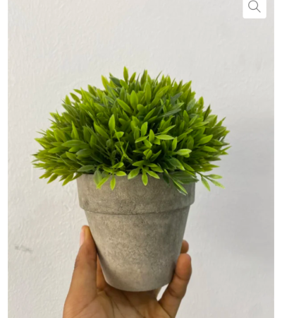 Artificial Flower Succulent Plant Pot Item | Buy Artificial Flower Succulent Plant Pot | SPOP Enterprise Global