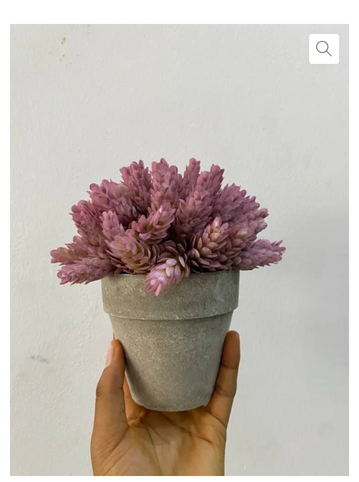 Artificial Flower Succulent Plant Pot Item | Buy Artificial Flower Succulent Plant Pot | SPOP Enterprise Global