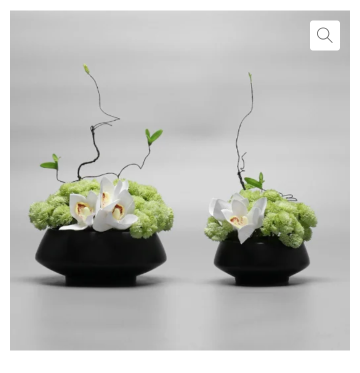 Freesia Orchid Item | Buy Freesia Orchid | SPOP Enterprise Global