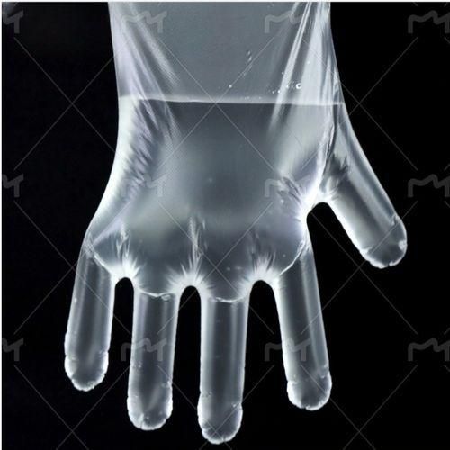 100pcs Disposable Transparent Gloves Item | Buy 100pcs Disposable Transparent Gloves | SPOP Enterprise Global