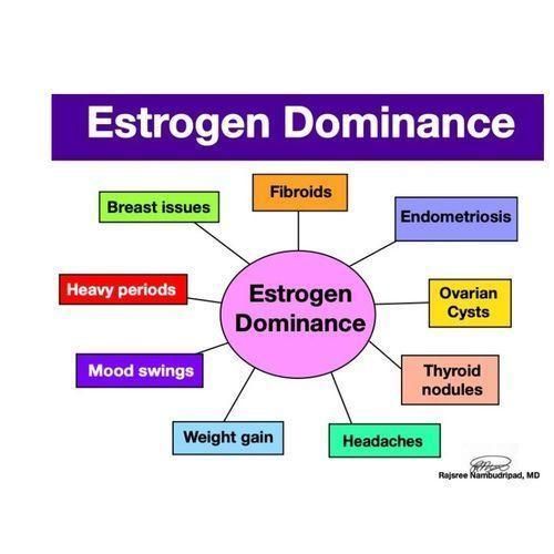 Oc integrative Indole-3-Carbinol & Diindolylmethane (DIM) Estrogen Balancer 60 Caps Item | Buy Oc integrative Indole-3-Carbinol & Diindolylmethane (DIM) Estrogen Balancer 60 Caps | SPOP Enterprise Global