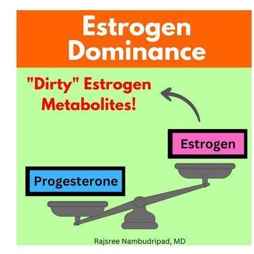 Oc integrative Indole-3-Carbinol & Diindolylmethane (DIM) Estrogen Balancer 60 Caps Item | Buy Oc integrative Indole-3-Carbinol & Diindolylmethane (DIM) Estrogen Balancer 60 Caps | SPOP Enterprise Global