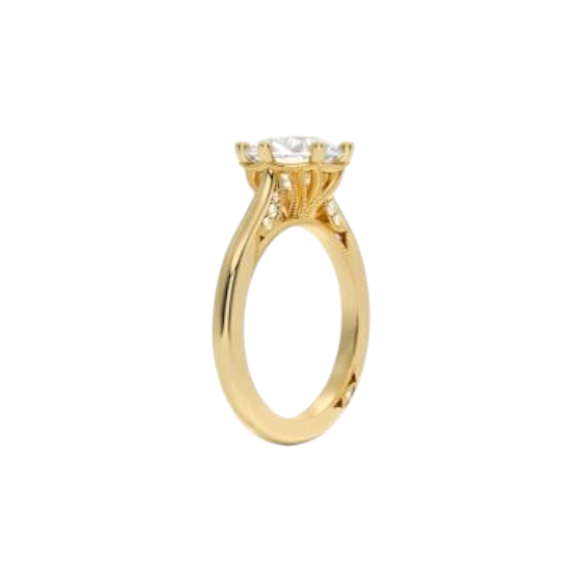 Item | Buy Seraphina Cathedral Moissanite Engagement Ring n 18K Gold | SPOP Enterprise Global