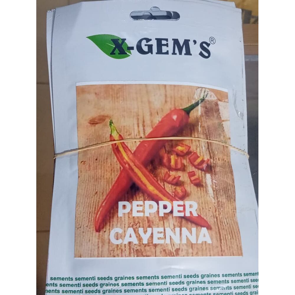Hybrid Pepper Cayenna Seeds (X-Gems) | 10g (MOQ:2) Item | Buy Hybrid Pepper Cayenna Seeds (X-Gems) | 10g (MOQ:2) | SPOP Enterprise Global