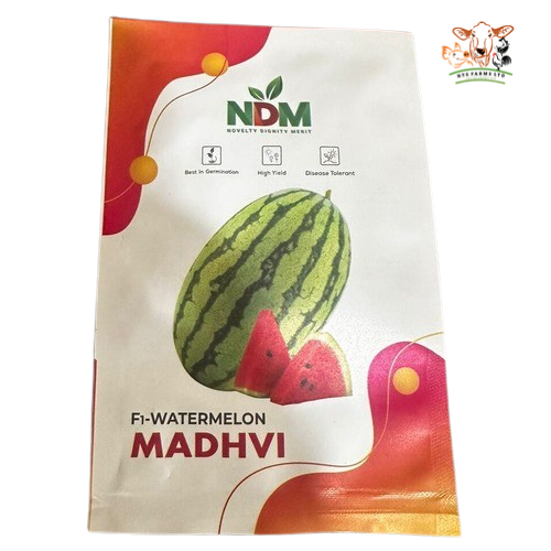 F1 Watermelon Madhvi | 500 seeds Item | Buy F1 Watermelon Madhvi | 500 seeds | SPOP Enterprise Global