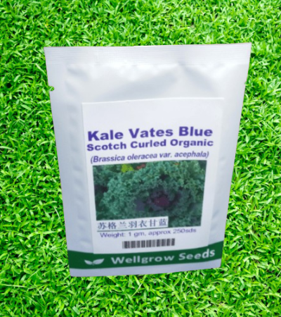 Bitter Gourd Palee F1 Seeds (10g) Item | Buy Bitter Gourd Palee F1 Seeds (10g) | SPOP Enterprise Global