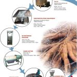 Cassava / Garri Grater | 2.5 – 3 Tons/hr Item | Buy Cassava / Garri Grater | 2.5 – 3 Tons/hr | SPOP Enterprise Global