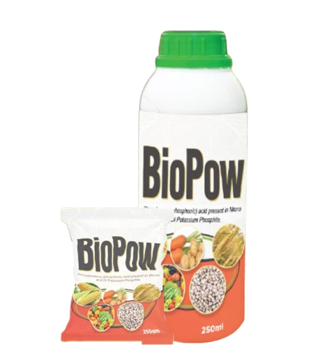BioPow Fungicide | 250ml (1 Carton) Item | Buy BioPow Fungicide | 250ml (1 Carton) | SPOP Enterprise Global