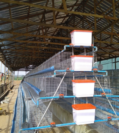 4 Tier Local Battery Cage (128 birds per unit) Item | Buy 4 Tier Local Battery Cage (128 birds per unit) | SPOP Enterprise Global
