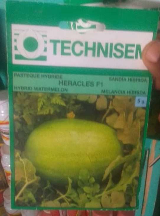 Technisem Heracles Watermelon – 5g Item | Buy Technisem Heracles Watermelon – 5g | SPOP Enterprise Global