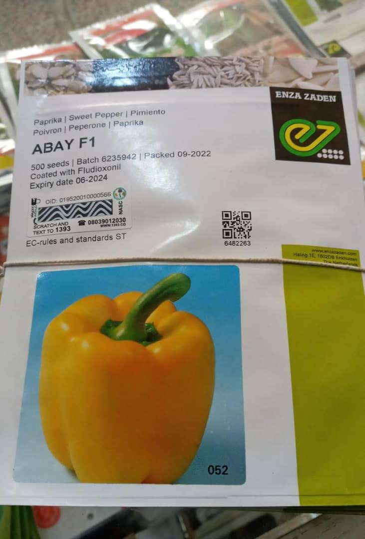 Pepper Abay G/Y (Sweet) F1 Yellow | 500 Seeds Item | Buy Pepper Abay G/Y (Sweet) F1 Yellow | 500 Seeds | SPOP Enterprise Global