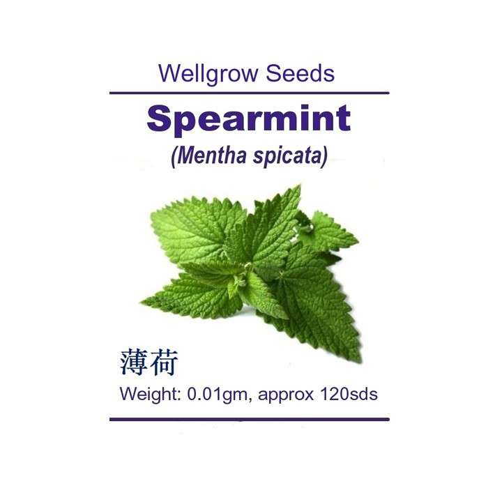 Spearmint (Mentha spicata) Well Grow | 0.01g (120 Seeds) Item | Buy Spearmint (Mentha spicata) Well Grow | 0.01g (120 Seeds) | SPOP Enterprise Global