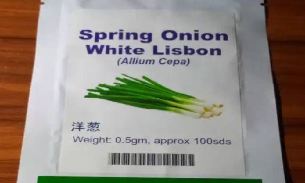 Spring Onion White Lisbon (Allium Cepa) Well Grow | 0.5g (100 Seeds Item | Buy Spring Onion White Lisbon (Allium Cepa) Well Grow | 0.5g (100 Seeds | SPOP Enterprise Global