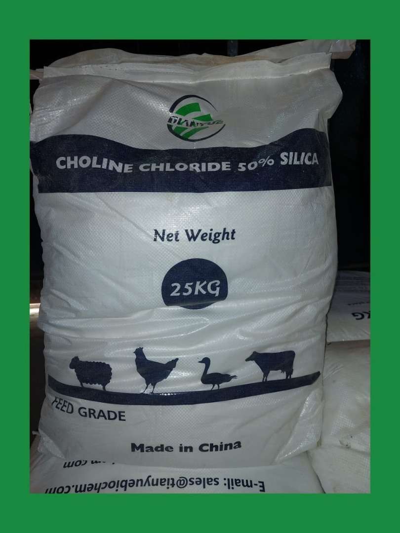 Choline Chloride Feed Grade | 25kg Item | Buy Choline Chloride Feed Grade | 25kg | SPOP Enterprise Global