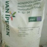 Van Iperen Monopotassium Phosphate 0-52-34 (25kg Item | Buy Van Iperen Monopotassium Phosphate 0-52-34 (25kg | SPOP Enterprise Global