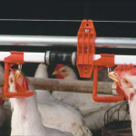 Nipple Drinker with Cup Item | Buy Nipple Drinker with Cup | SPOP Enterprise Global