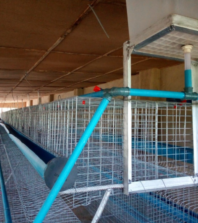 Nigerian Made Battery Cage (96 Birds per Unit) Item | Buy Nigerian Made Battery Cage (96 Birds per Unit) | SPOP Enterprise Global