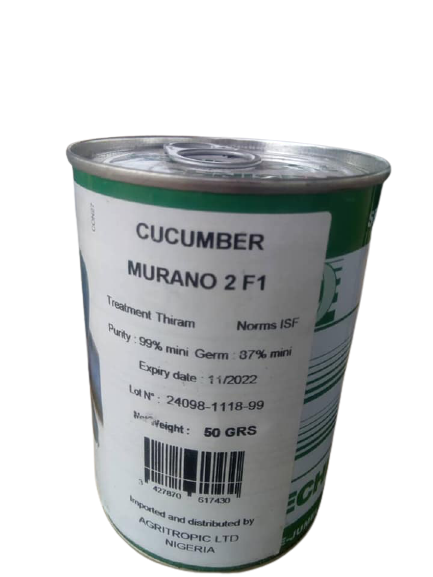 Murano 2 F1 Cucumber (Technisem | 50g) Item | Buy Murano 2 F1 Cucumber (Technisem | 50g) | SPOP Enterprise Global