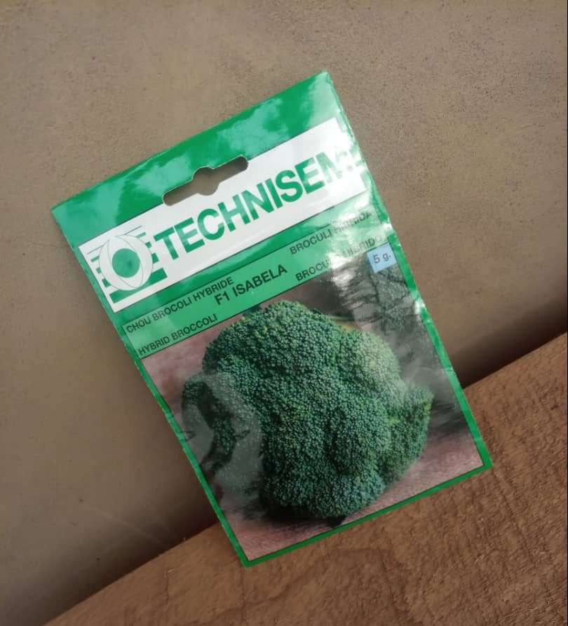 Isabela F1 Broccoli (Technisem | 5g) Item | Buy Isabela F1 Broccoli (Technisem | 5g) | SPOP Enterprise Global