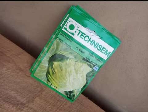 F1 Vizir Cabbage Seeds (Technisem | 5g) Item | Buy F1 Vizir Cabbage Seeds (Technisem | 5g) | SPOP Enterprise Global