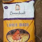 Breedwell Layer Mash Feed | 25kg Item | Buy Breedwell Layer Mash Feed | 25kg | SPOP Enterprise Global