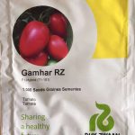 Tomato Gamhar RZ F1 | 100 Seeds Item | Buy Tomato Gamhar RZ F1 | 100 Seeds | SPOP Enterprise Global