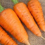 Kuroda Chantenay Carrot Seeds | 100g Item | Buy Kuroda Chantenay Carrot Seeds | 100g | SPOP Enterprise Global