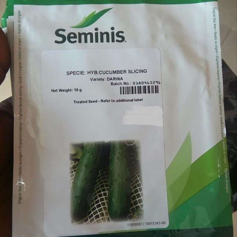 Seminis Darina F1 Cucumber Seed | 10g Item | Buy Seminis Darina F1 Cucumber Seed | 10g | SPOP Enterprise Global