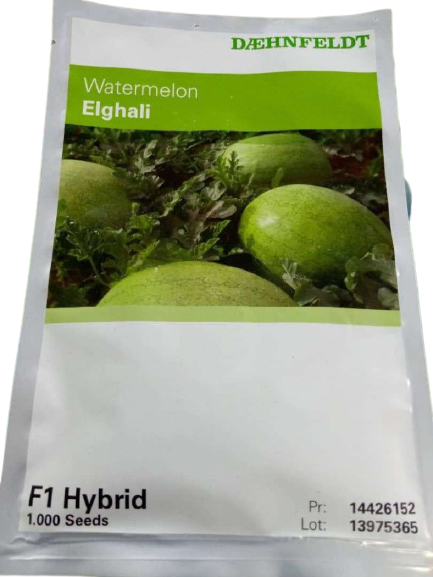 Elghali F1Watermelon Hybrid Seeds Item | Buy Elghali F1Watermelon Hybrid Seeds | SPOP Enterprise Global