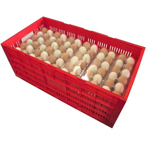 Egg Transport Box | Double Item | Buy Egg Transport Box | Double | SPOP Enterprise Global