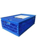 Blue Chicken Transport Crate Item | Buy Blue Chicken Transport Crate | SPOP Enterprise Global