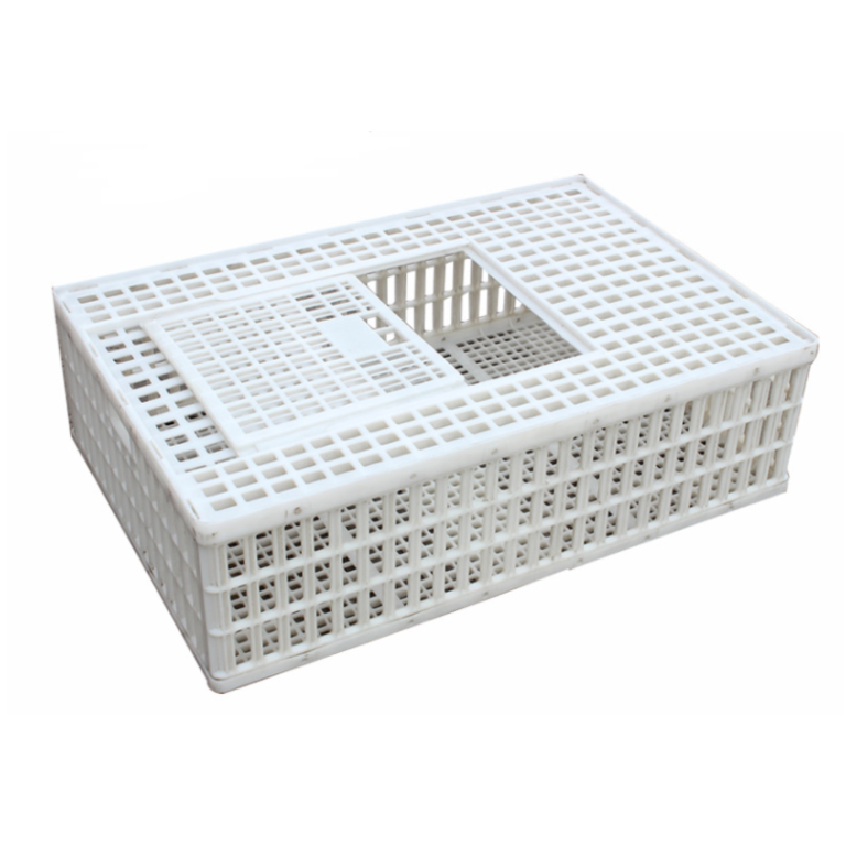 Blue Chicken Transport Crate Item | Buy Blue Chicken Transport Crate | SPOP Enterprise Global