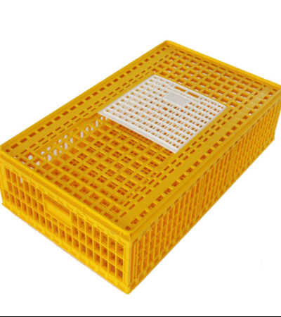 Blue Chicken Transport Crate Item | Buy Blue Chicken Transport Crate | SPOP Enterprise Global