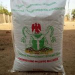 Faro 44 Lowland Rice Seeds Item | Buy Faro 44 Lowland Rice Seeds | SPOP Enterprise Global