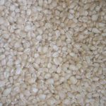Bag of White Maize (100kg Item | Buy Bag of White Maize (100kg | SPOP Enterprise Global