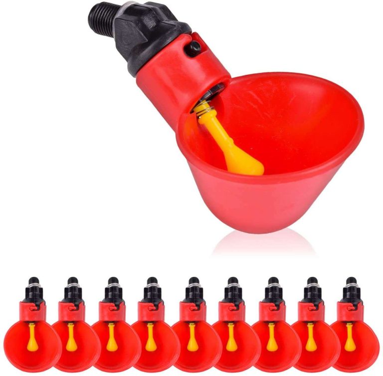 Poultry Drinking Cup (Pack of 50) Item | Buy Poultry Drinking Cup (Pack of 50) | SPOP Enterprise Global
