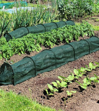 300*45*45cm 10-Foot Garden Tunnel Greenhouse with Shade Net - Durable Plastic and Metal Frame - Green Item | Buy 300*45*45cm 10-Foot Garden Tunnel Greenhouse with Shade Net - Durable Plastic and Metal Frame - Green | SPOP Enterprise Global