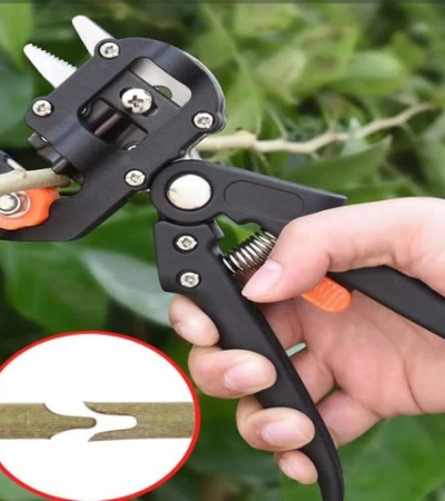 WakeView Grafting Tool Kit, 2-in-1 Professional Garden Pruning Shears with 3 Replaceable Blades, Plant Branch Cutter Scissors for Fruit Tree Grafting & Gardening Item | Buy WakeView Grafting Tool Kit, 2-in-1 Professional Garden Pruning Shears with 3 Replaceable Blades, Plant Branch Cutter Scissors for Fruit Tree Grafting & Gardening | SPOP Enterprise Global