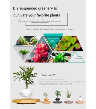 Levitating Planter, Magnetic Floating Plant Pot for Small Plants, ( negative ions ,purified air) Item | Buy Levitating Planter, Magnetic Floating Plant Pot for Small Plants, ( negative ions ,purified air) | SPOP Enterprise Global