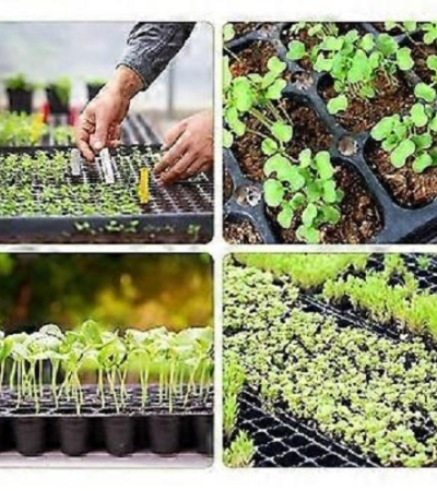 Re- Useable Nursery Planting Germination Hole-Tray Item | Buy Re- Useable Nursery Planting Germination Hole-Tray | SPOP Enterprise Global