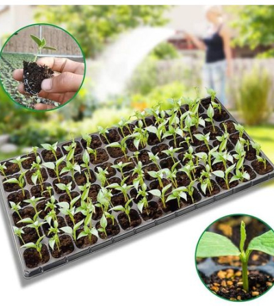 Re- Useable Nursery Planting Germination Hole-Tray Item | Buy Re- Useable Nursery Planting Germination Hole-Tray | SPOP Enterprise Global