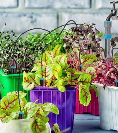 A plant watering kit with 10 drippers, suitable for garden lawns and horticultural irrigation. Item | Buy A plant watering kit with 10 drippers, suitable for garden lawns and horticultural irrigation. | SPOP Enterprise Global
