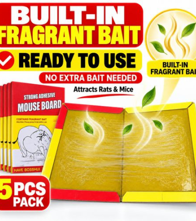 5PCS Rat & Mouse Glue Trap Board Strong Adhesive With Built-In Bait Ready To Use Indoor Pest Control Item | Buy 5PCS Rat & Mouse Glue Trap Board Strong Adhesive With Built-In Bait Ready To Use Indoor Pest Control | SPOP Enterprise Global
