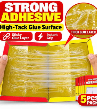 5PCS Rat & Mouse Glue Trap Board Strong Adhesive With Built-In Bait Ready To Use Indoor Pest Control Item | Buy 5PCS Rat & Mouse Glue Trap Board Strong Adhesive With Built-In Bait Ready To Use Indoor Pest Control | SPOP Enterprise Global